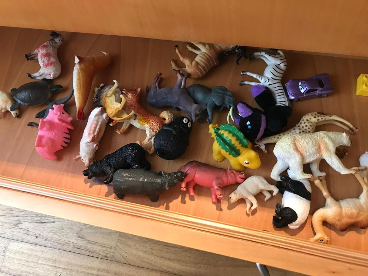 דירות ורונה Casa Beraldini מראה חיצוני תמונה